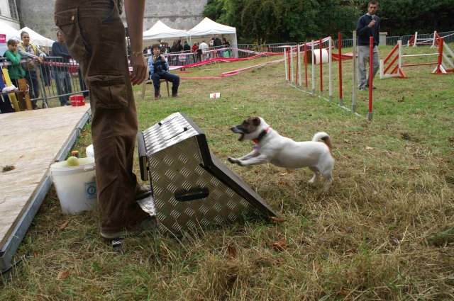 foire-haricots 2011-09-17et18